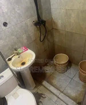 Professional House Cleaning Service