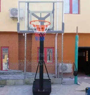Professional Basketball Stand With Ball