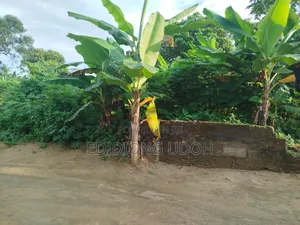 Photo - A 450+Sq.M Land for Sale at Ikot Akpan Abia, Uyo, Akwa Ibom