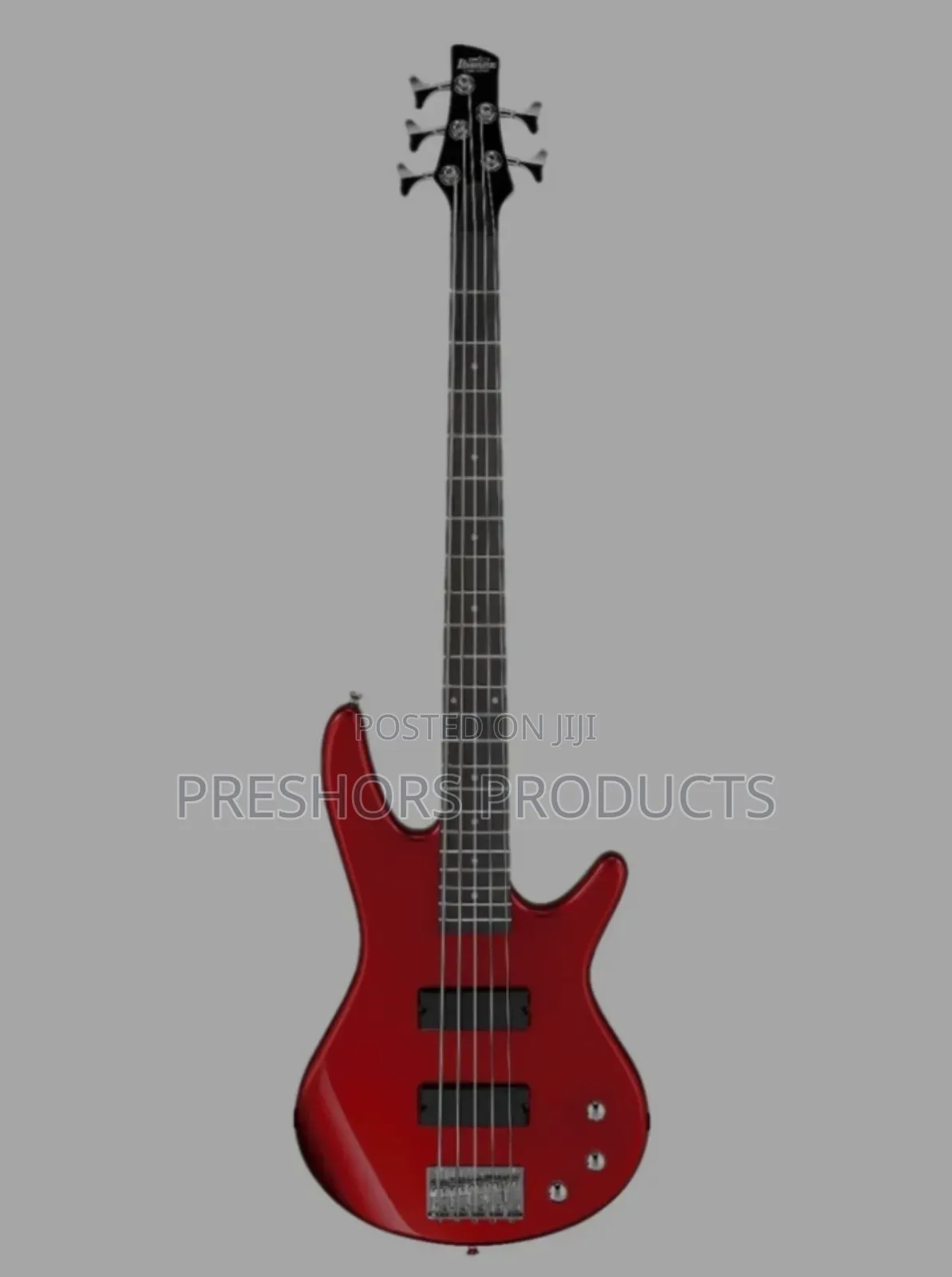 5 Strings Passive Ibanez Bass Guitar
