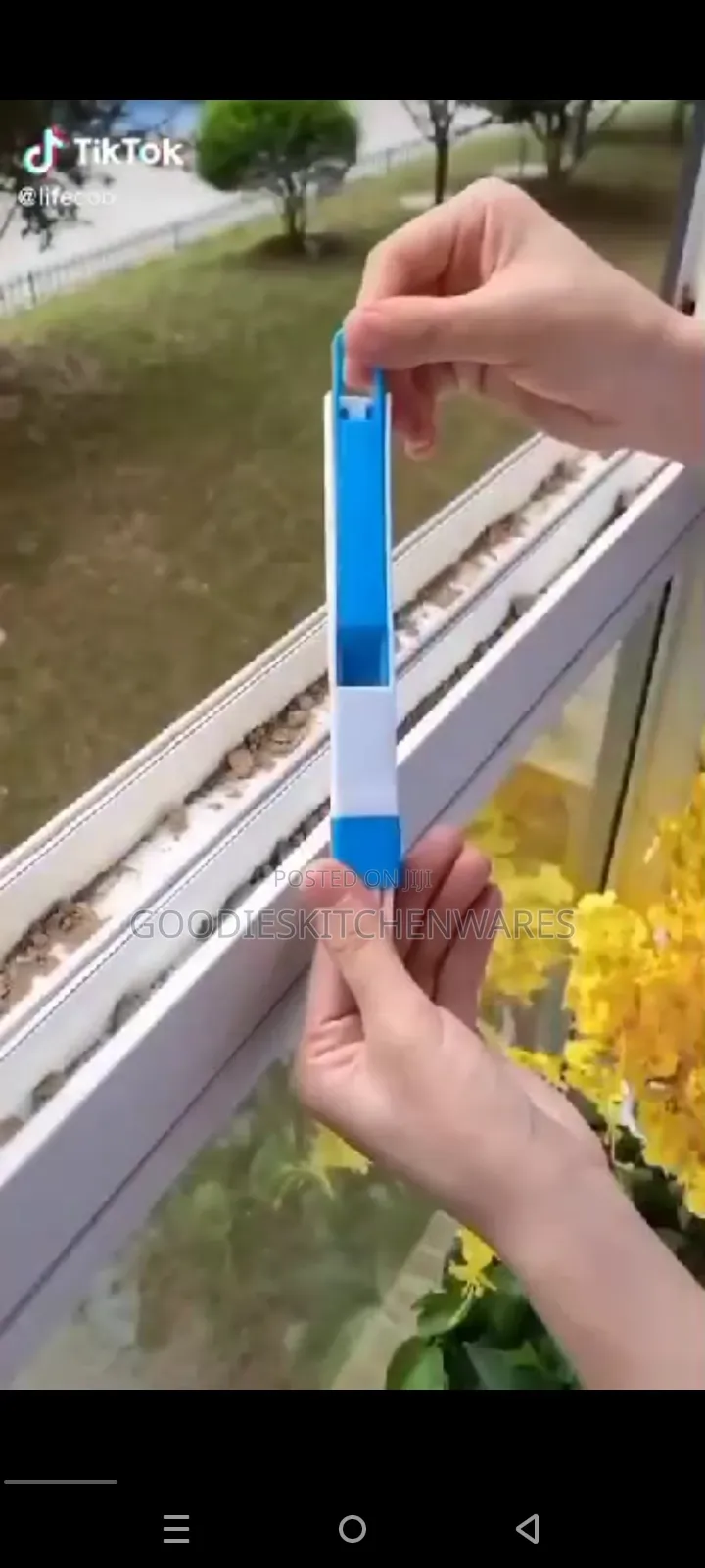 Multipurpose Window Brush and Parker
