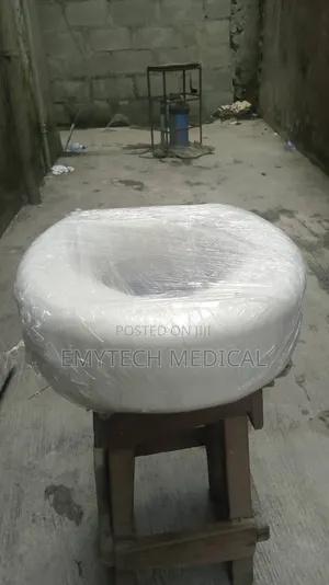 Toilet Raiser