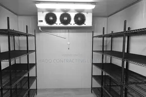 Automatic Grade Cold Room Storage