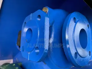 Lowara Surface Pump