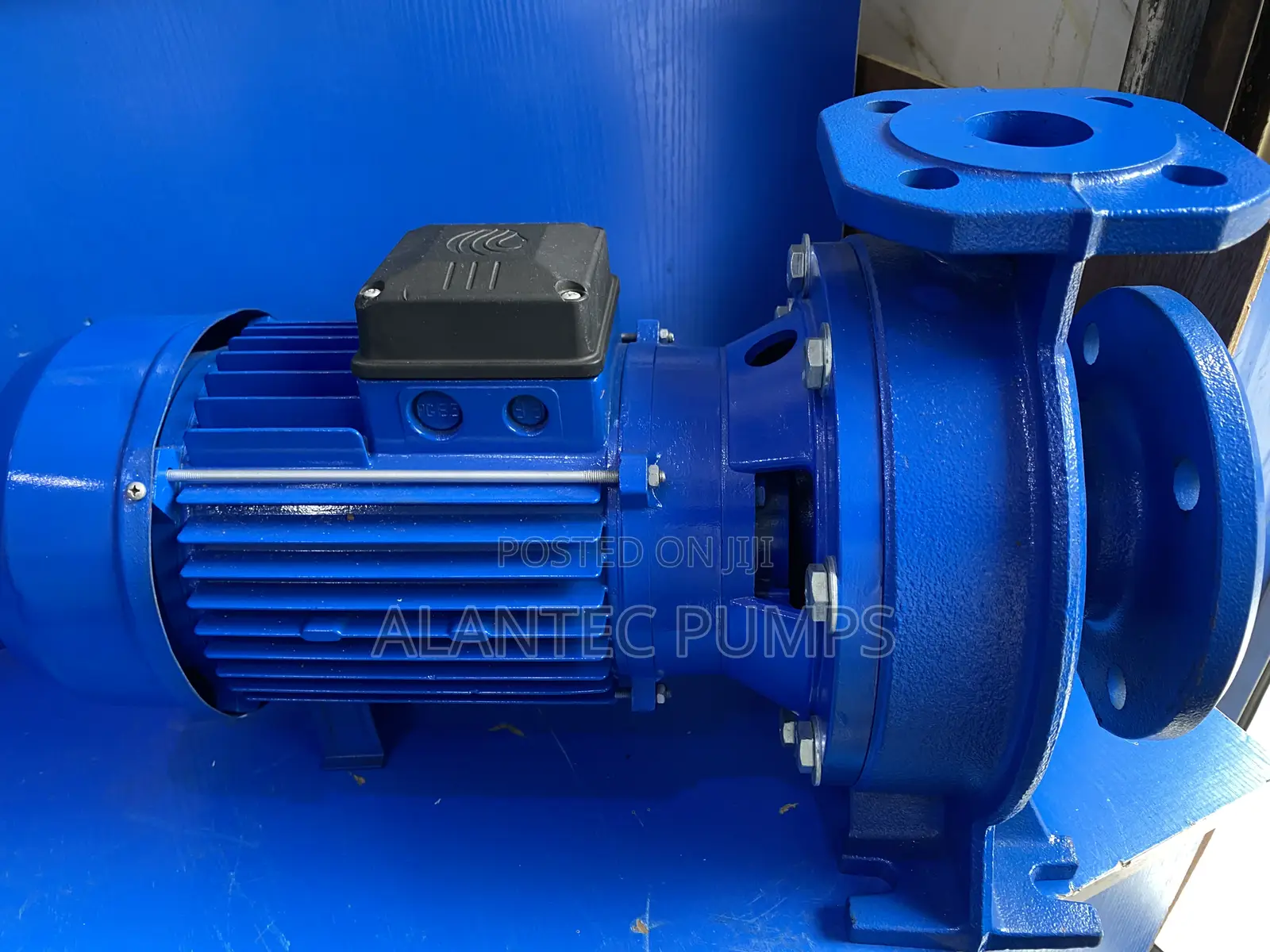 Lowara Surface Pump