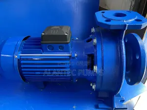 Lowara Surface Pump