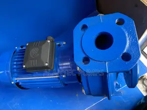 Lowara Surface Pump
