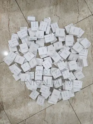 iPhone Charger