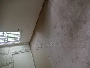 Wall to Wall Rug