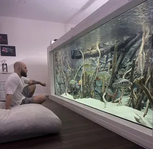 We Construct Big Outdoor Fish Aquarium for Homes and Offices