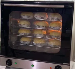 Mini Conventional Oven