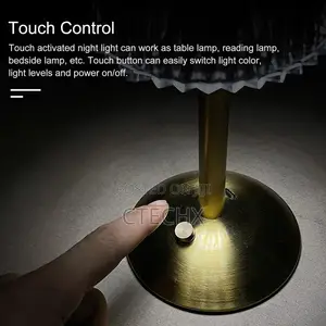 Gold Cordless Table Mushroom Lamp Usb Rechargeable Dimmable