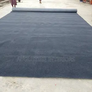 High Quality France Rug Carpet Arsh Color
