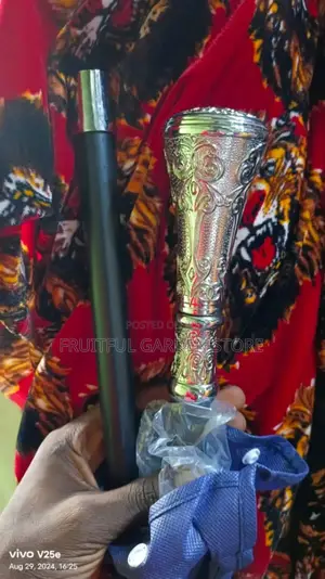 Men Styled Walking Stick