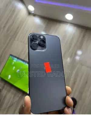 Apple iPhone 13 Pro Max 256 GB Gray