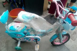 Childen Size 12 Riding Bike
