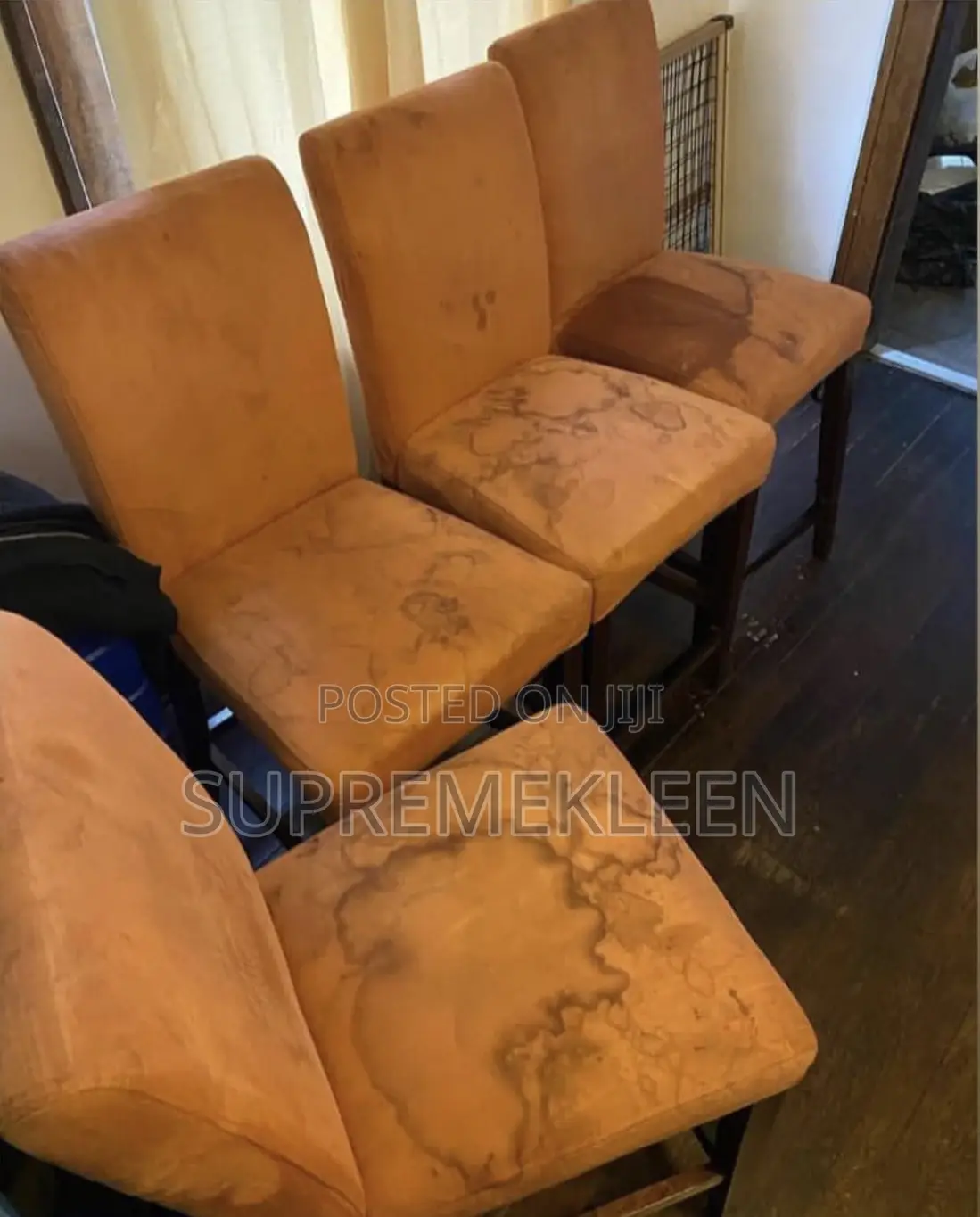 Best Couch Mattress Cleaning Service