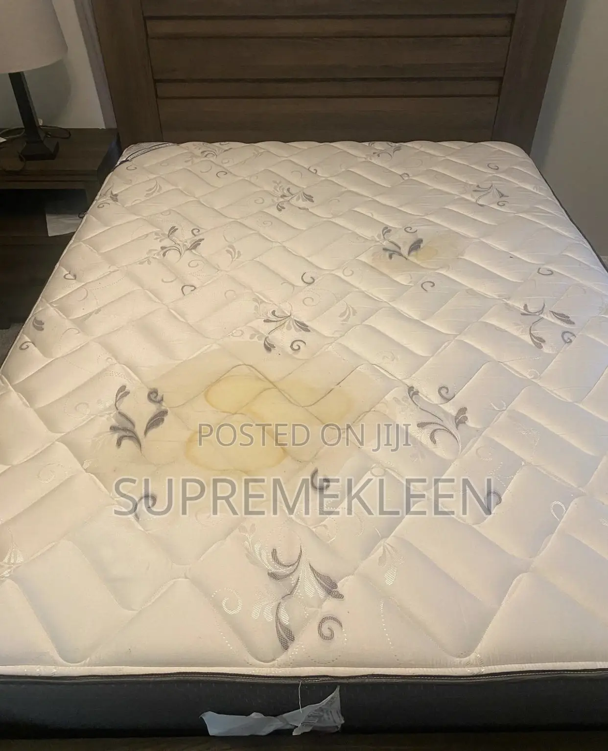 Best Couch Mattress Cleaning Service