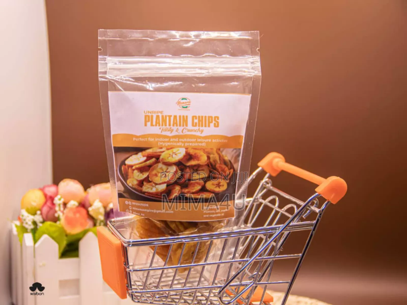 Crunchy Plantain Chips
