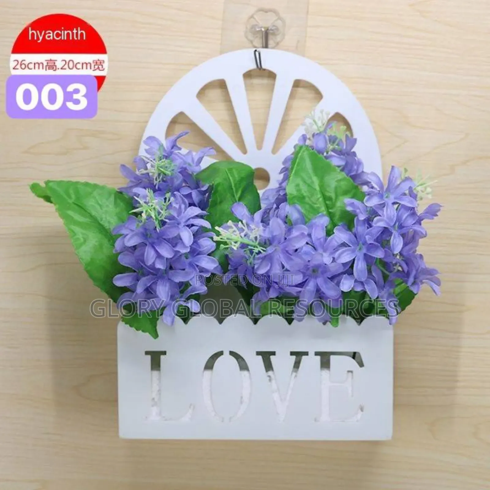 Love Design Wall Hanging Potted Plant (Without Hook Buy Hook