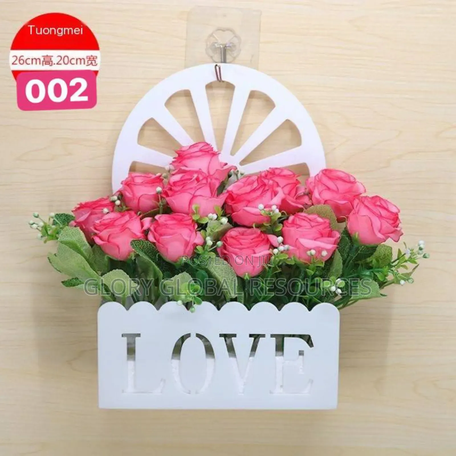 Love Design Wall Hanging Potted Plant (Without Hook Buy Hook