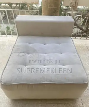 Upholstery Sofa Bio Cleaning Services