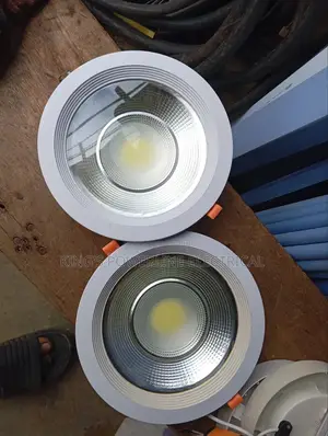30 Watts COB Light