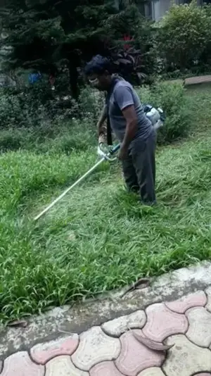 Professional Gardening ( Trimming of Flowers )