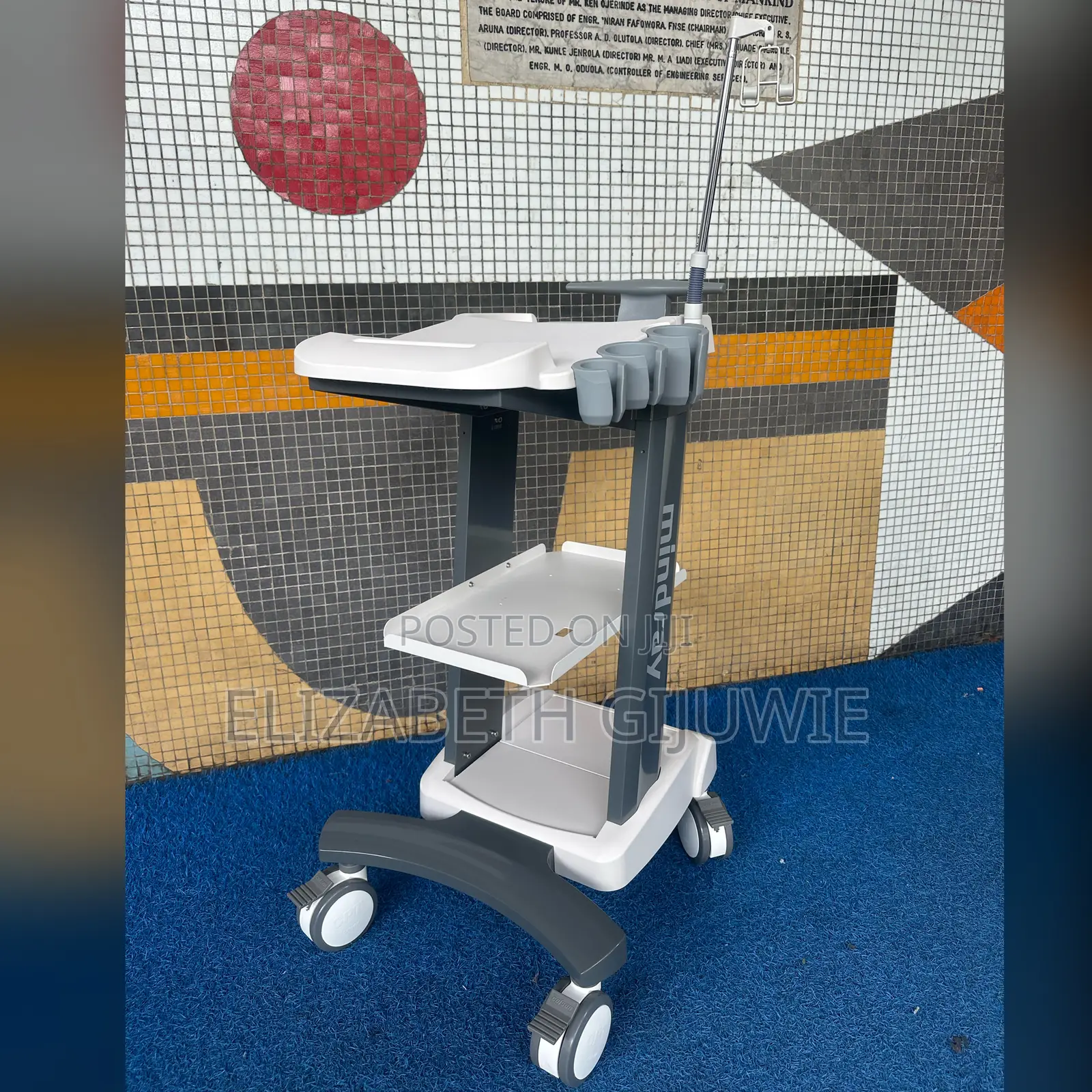 Mindray DP10 Trolley