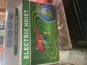 Original Electric Hoist 500kg