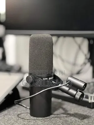 Shure Microphone
