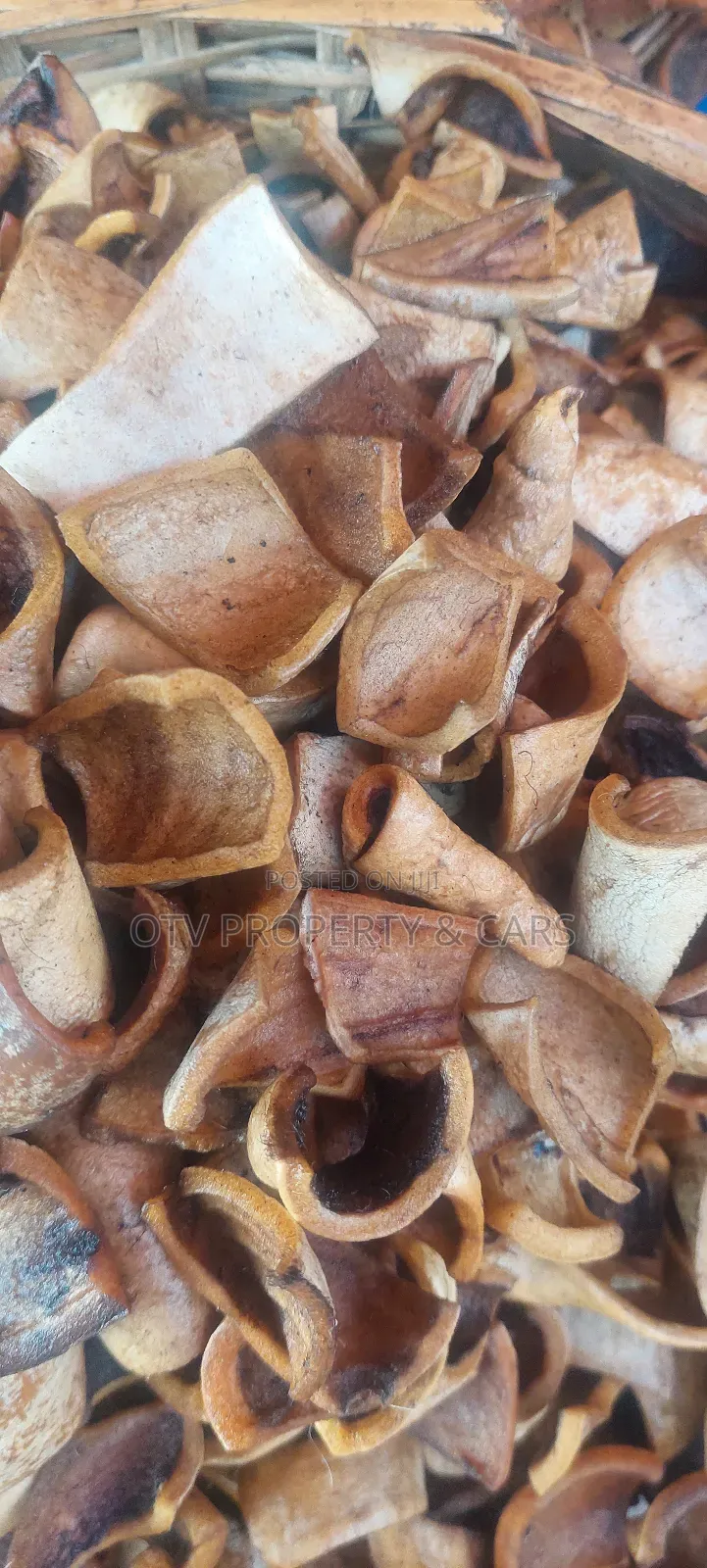 Dry White Ponmo #50 Cut