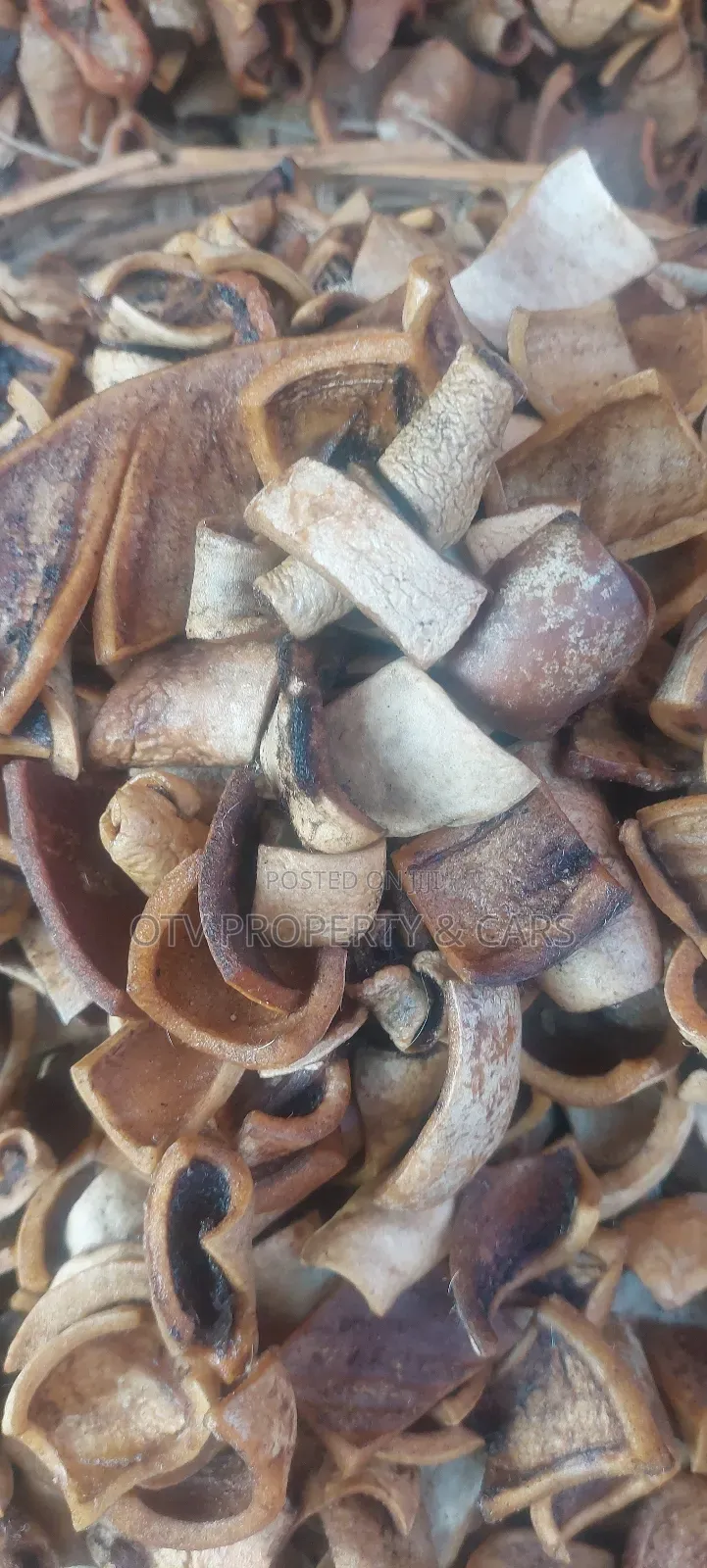 Dry White Ponmo #50 Cut