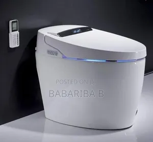 Smart Toilet Closet