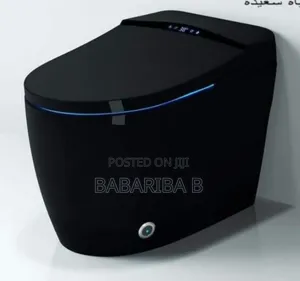 Smart Black Water Closet