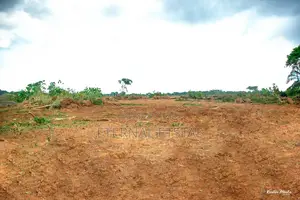 Fast Selling Affordable Estate