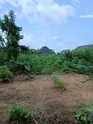 Buy and Build and Move Two Plots of Lands for Sale