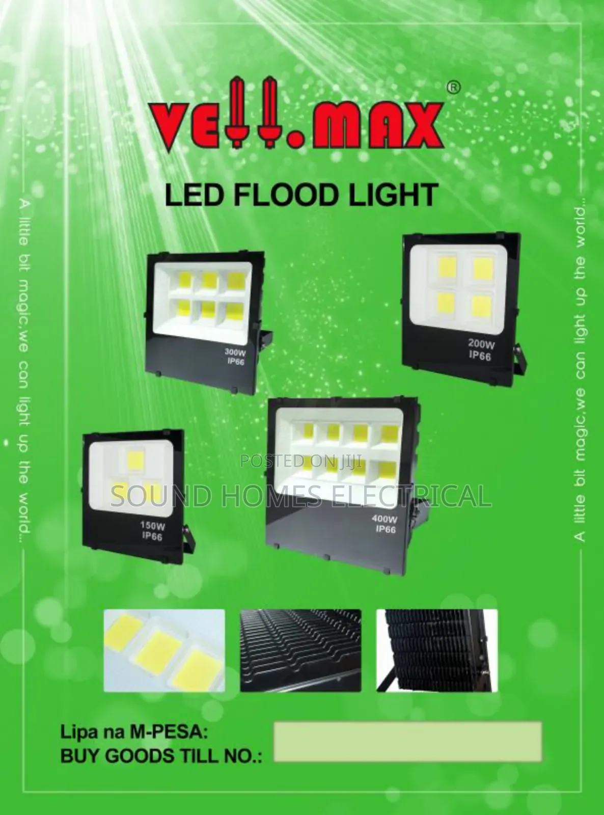 Vellmax Security Floodlight