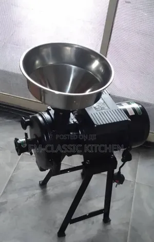 Electric Grinder Wet and Dry