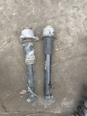 Back Shock E70