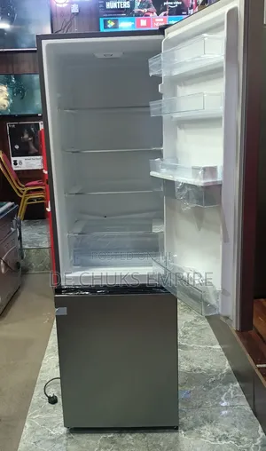 Hisense Double Door Fridge With Bottom Freezer (262 Liters)