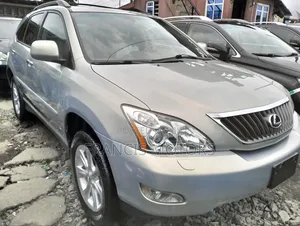 Lexus RX 350 2009 Gray