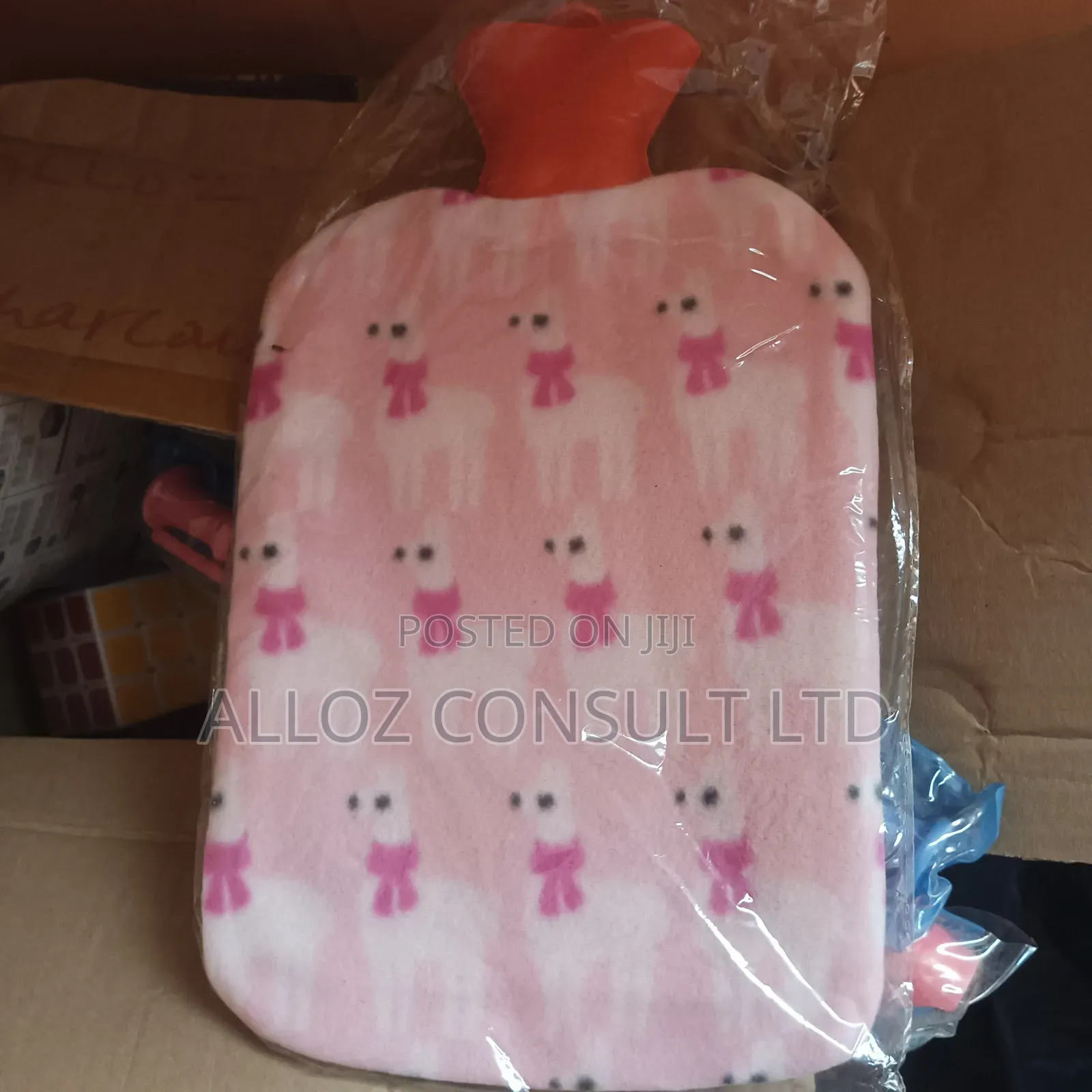 Hot Water Bottle