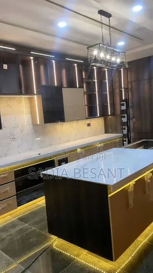 Custom Kitchen Cabinet