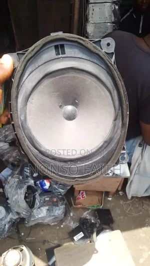 Door Speaker