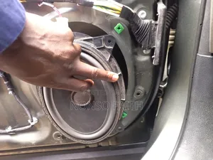Door Speaker