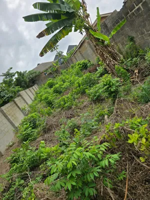 Dry Virgin for Sale in a Good Location Within Alimosho Lga