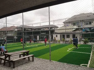 50MM FIFA Standard Grass