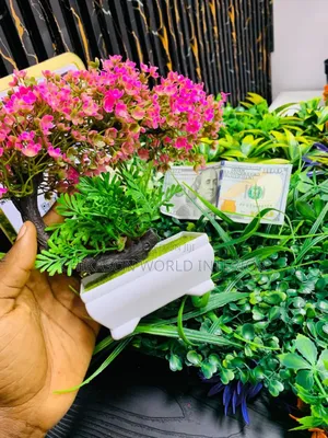 Beautiful Table Flowers