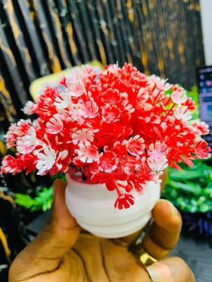 Beautiful Table Flowers